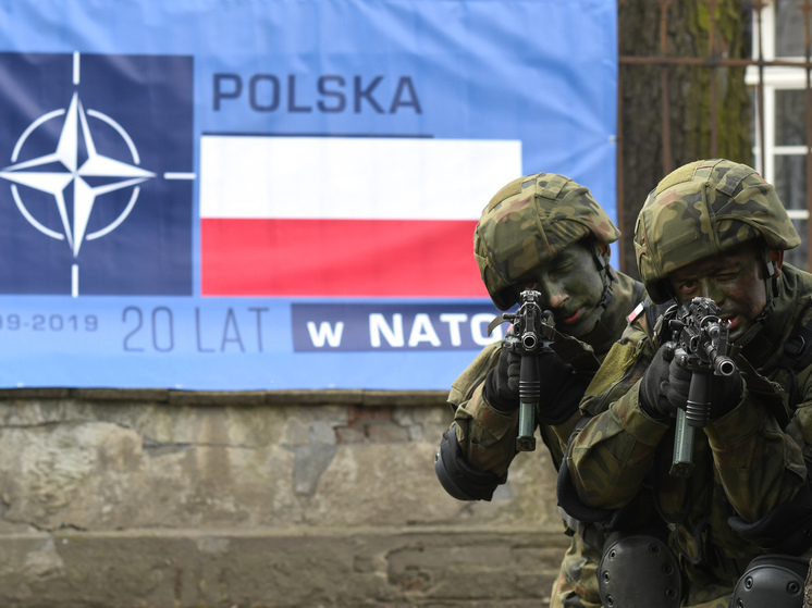 Экс-аналитик ЦРУ Джонсон спрогнозировал нападение Польши на Белоруссию для сдерживания России