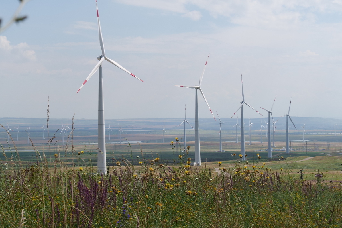В Кочубеевском округе Ставрополья голосуют за самую крупную в России ветроэлектростанцию