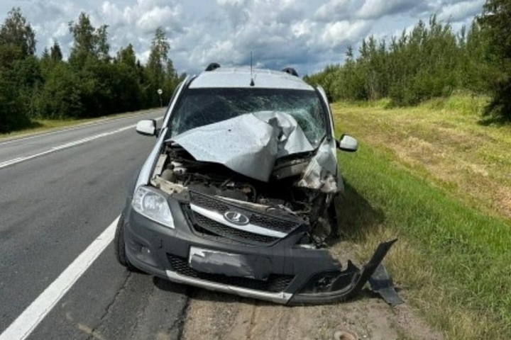 Вологжанин погиб при столкновении автомобиля с отбойником на 373 километре трассы М8