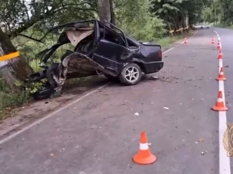 В Черняховске водитель иномарки въехал в два дерева