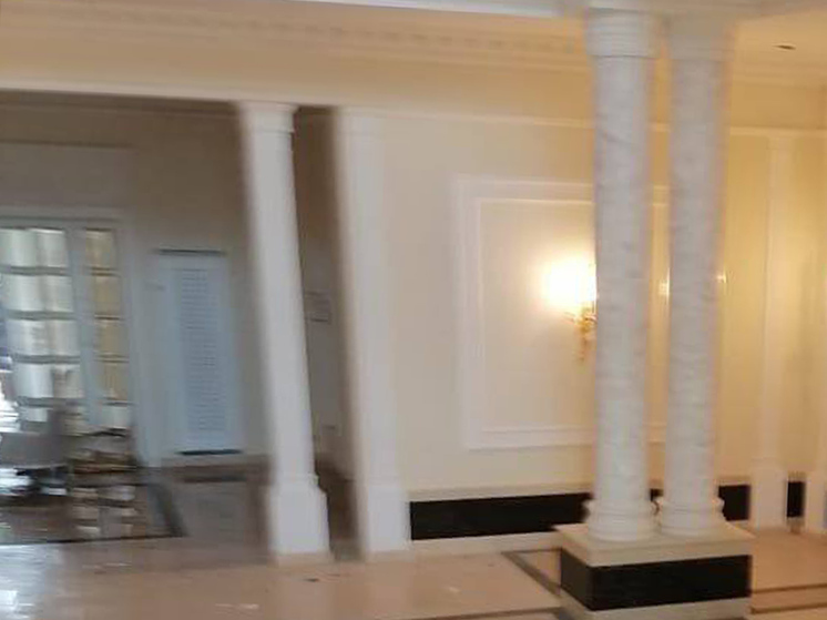 Мы попытались приобрести полуразрушенный особняк