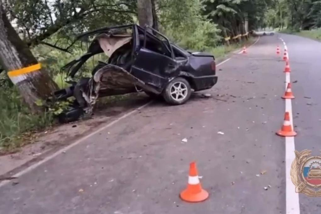 В Черняховске водитель иномарки въехал в два дерева