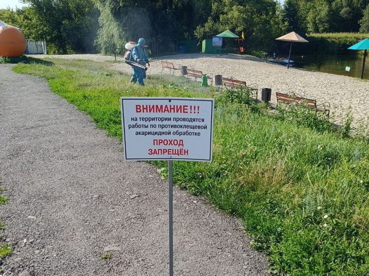 Муниципальные пляжи в Курске обработали от клещей