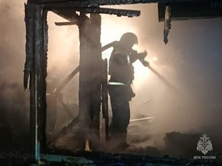 Два человека погибли на пожаре 6-квартирного дома в Чите