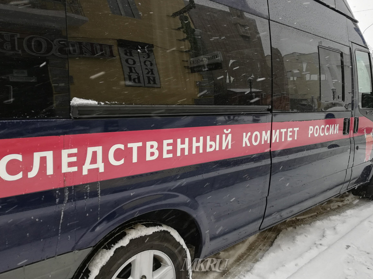 Следователи проверят данные о нападении мужчины на девочку в Чите