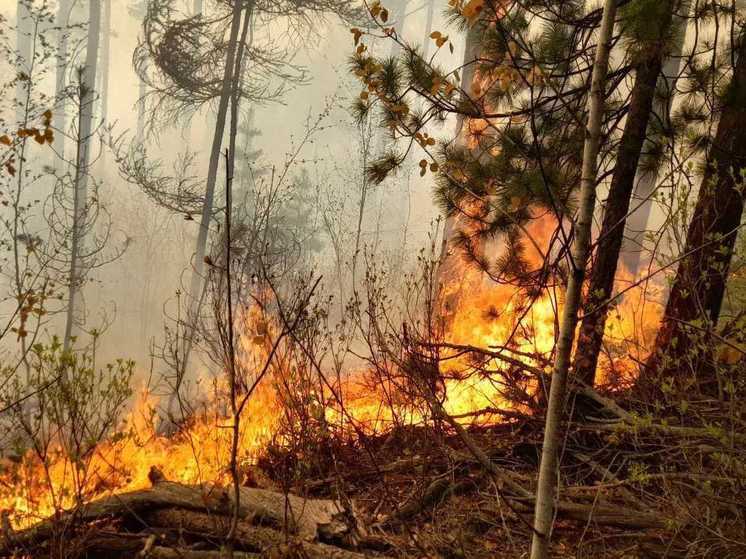 В Бурятии тушат сложный лесной пожар на крутом склоне