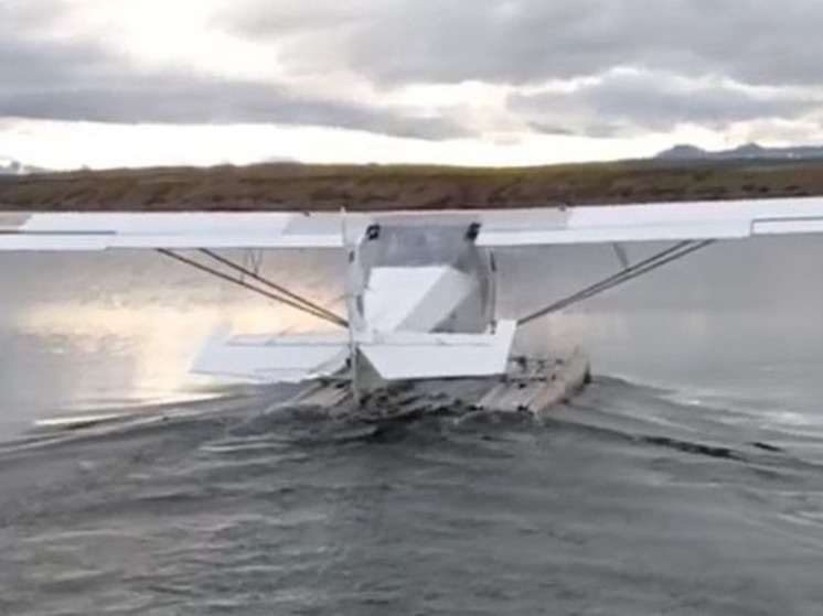 К исследованиям куликов на Чукотке привлекли малую авиацию