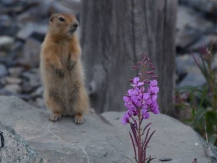 Облачно с прояснениями будет в округе в понедельник