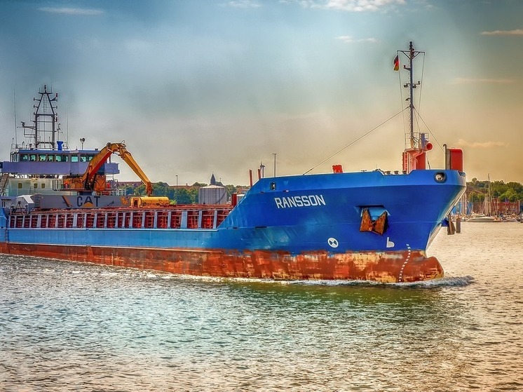 ФСБ РФ: в сухогрузе, плывшем из Турции в Ростов-на-Дону, нашли следы взрывчатки