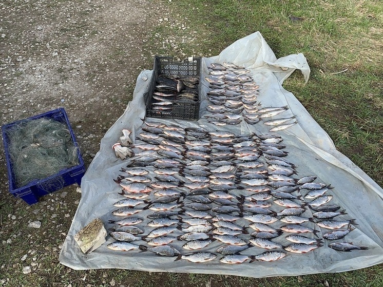 Уголовные дела возбудили в отношении двух рыболовов за браконьерство на Псковском озере