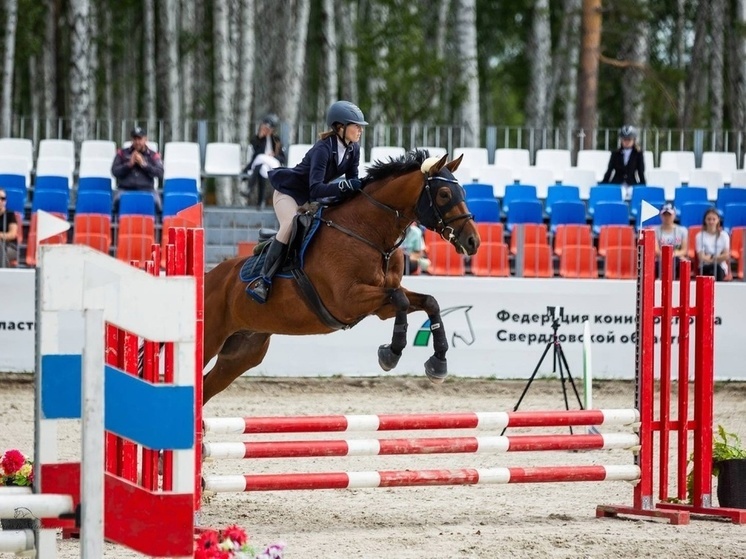 Всадница из Ноябрьска с конями Флайботом и Лордом завоевала весь набор медалей на Всероссийских соревнованиях по конкуру