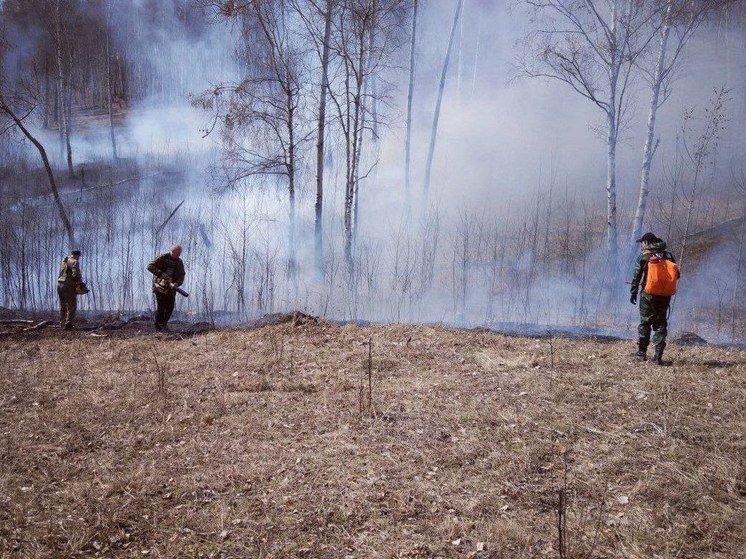 В Приангарье потушили пять лесных пожаров за сутки