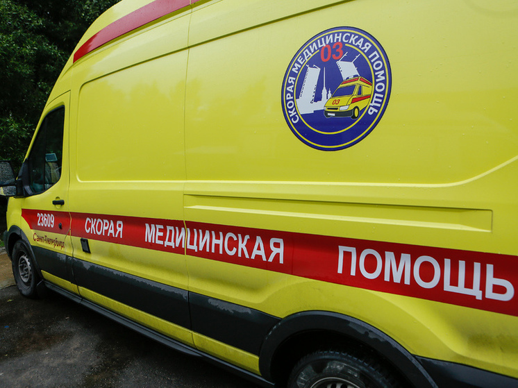 В Мошенском районе в ДТП погибла автоледи