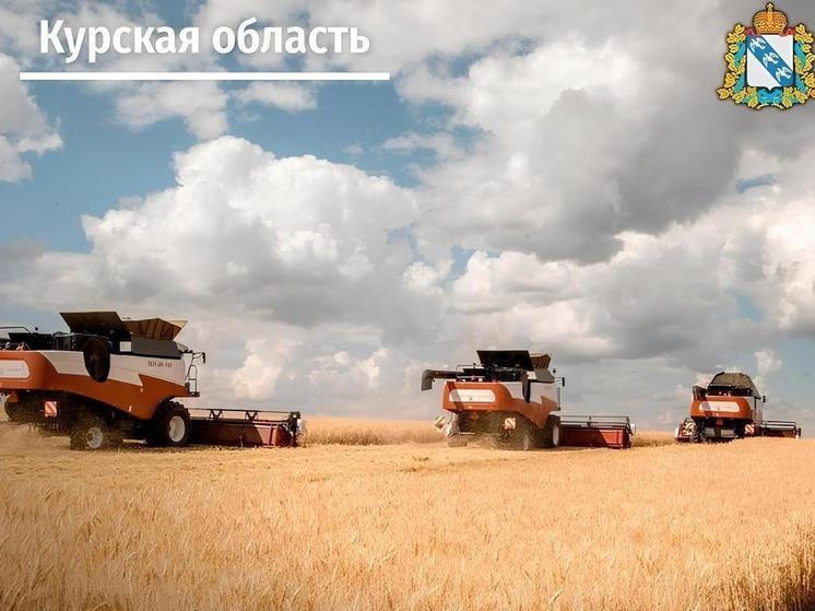 В Курской области скосили и обмолотили 13 тысяч гектаров нового урожая