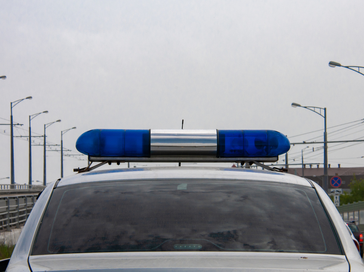 Фанат «Руки Вверх» избил полицейских, пытаясь пройти на концерт в Москве