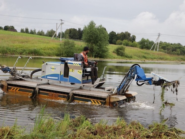 В Зарайске началась расчистка Беспятовского пруда