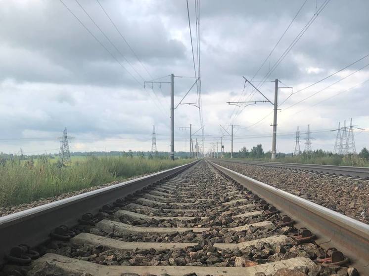 У Зеленоградска электричка сбила женщину, перебегавшую пути в неположенном месте