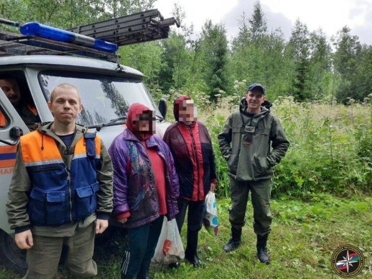 Спасатели Карелии ночью вывели из леса заблудившихся грибников