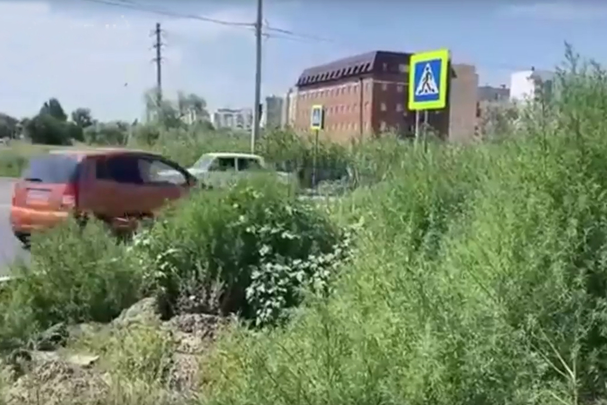 Астраханцев рассмешили пешеходные переходы в микрорайоне Бабаевского