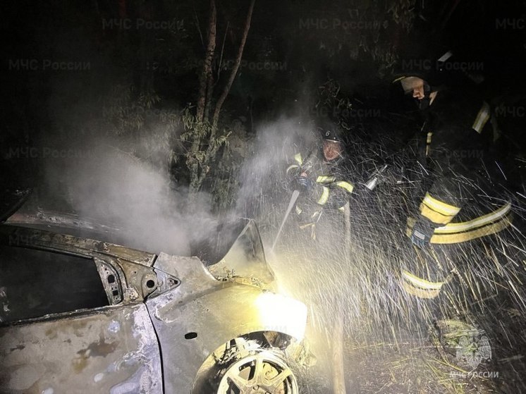 Пожарные потушили улетевший в кювет автомобиль на Сахалине