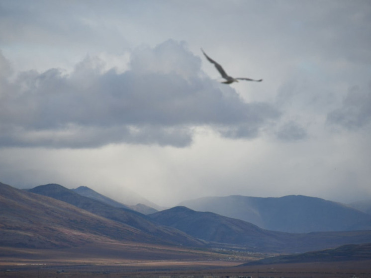 Во вторник в регионе будет облачно и дождливо