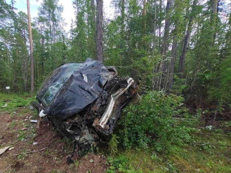 В Алданском районе Якутии в ДТП пострадали три человека