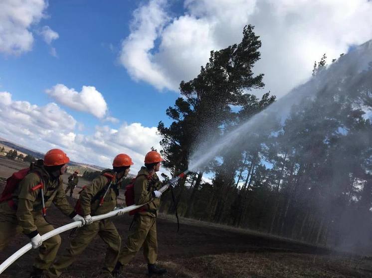 Шесть лесных возгораний ликвидировали в Приангарье