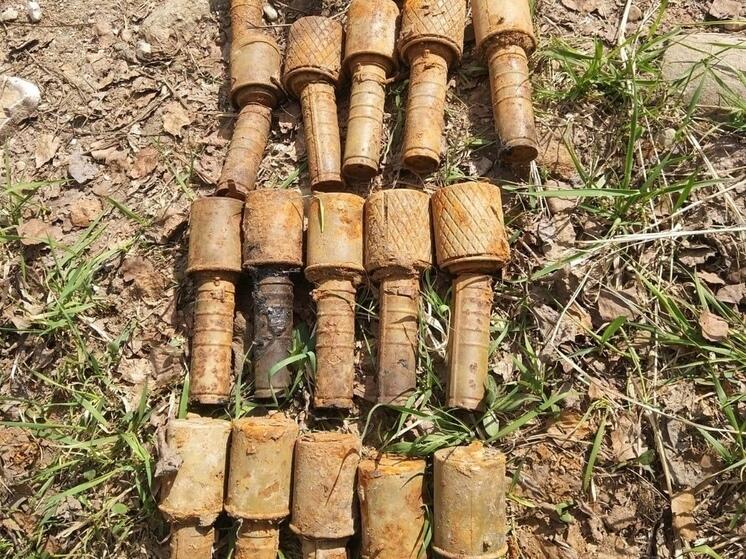 В Цибульниках под Смоленском нашли 89 боеприпасов времен войны