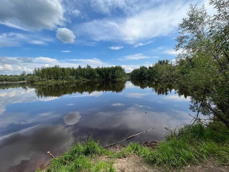 В Пуровском районе в реке нашли тело пропавшего 2 месяца назад мужчины