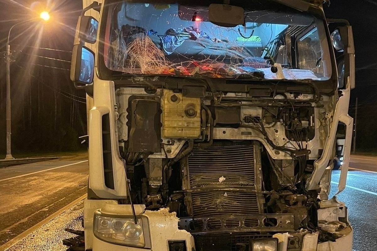 Газель фура