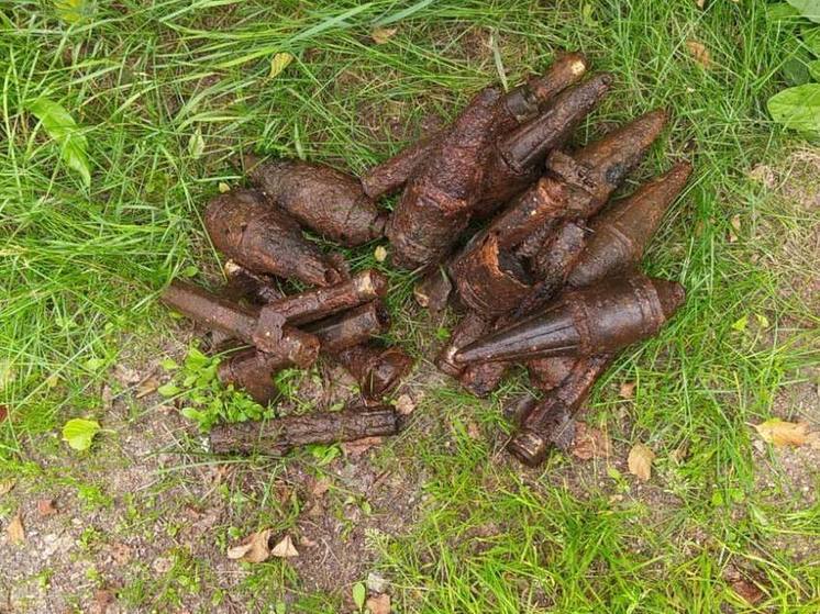 Из реки под Выборгом достали боеприпасы времен Великой Отечественной войны