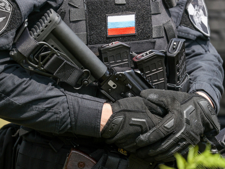 В Госдуме предложили разрешить регионам создавать вооруженные отряды