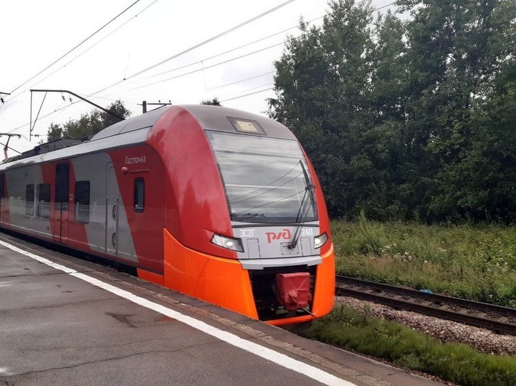 В Ленобласти штраф за переход железной дороги в неположенном месте повысят до 1,5 тысячи рублей