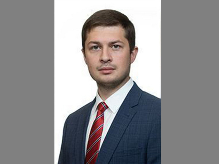 Лидер фракции ЛДПР подал документы на выборы губернатора Воронежской области
