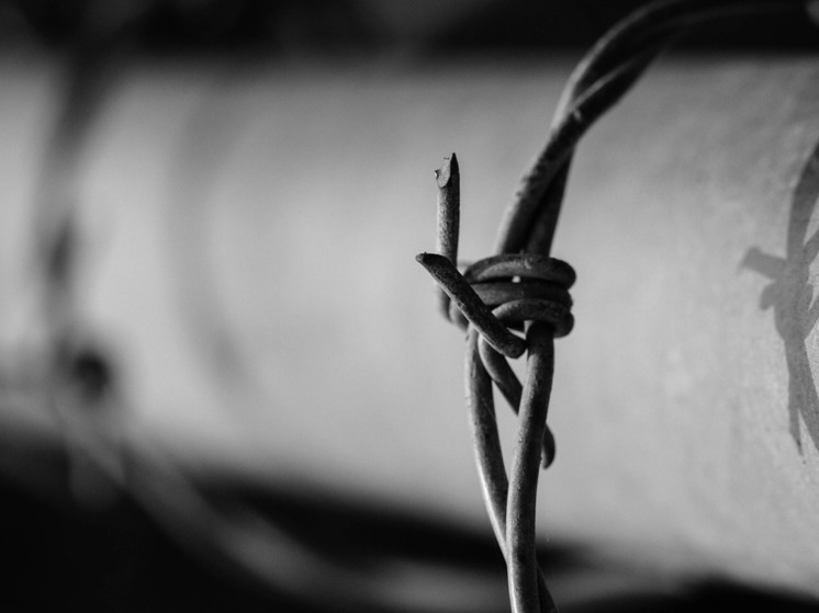 Омский суд осудил на 14 лет педофила, истязавшего младенца