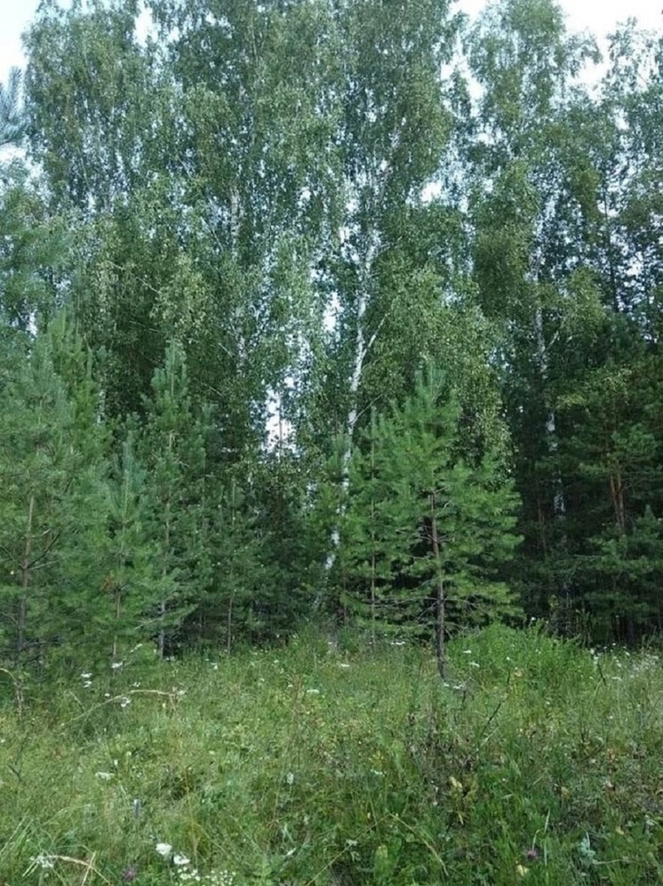 В Красноселькупском и Надымском районах горят 68 га леса