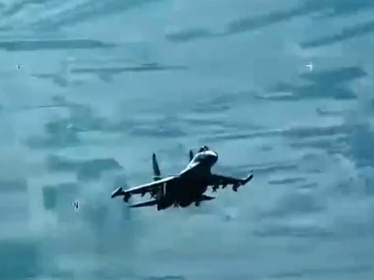 ВВС США опубликовали видео атаки российского истребителя на беспилотник MQ-9 Reaper в Сирии