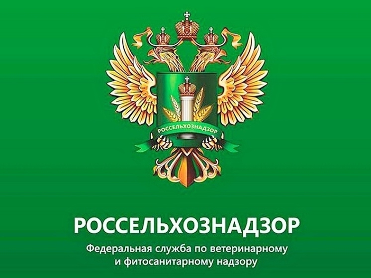 В Курской области Россельхознадзор выявил заросшие сорняками 107 га земли