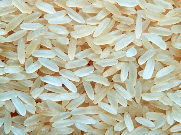 Глава РЗС Злочевский: за последние полтора года стоимость длиннозерного риса в РФ выросла на 20-30%