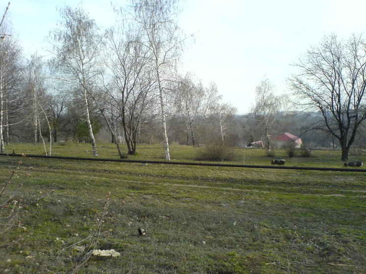 В Саратове предложено преобразовать Ботанический сад