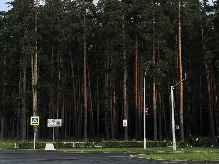 В Пензенской области служащий незаконно приобрёл земельные участки