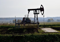 В РФ стали замедляться темпы сокращения добычи газа