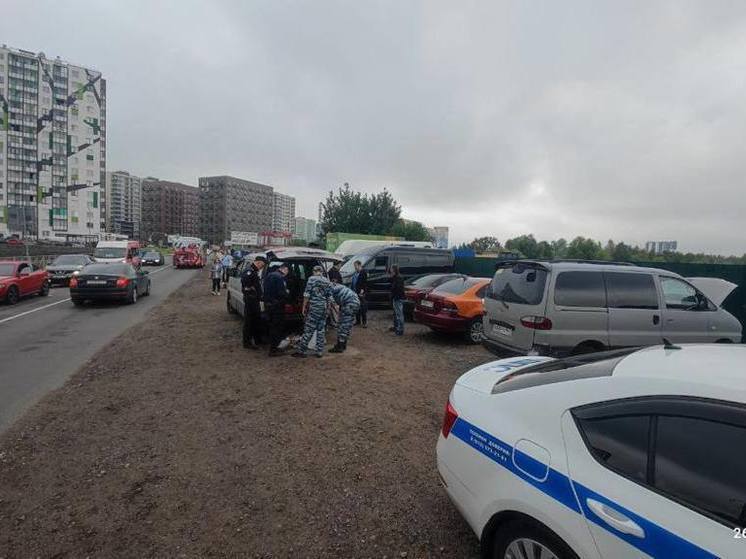 В Кудрово поймали нелегальных перевозчиков