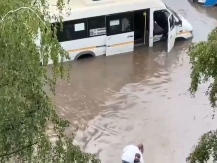 В Одинцово водитель маршрутки перенес женщин на руках