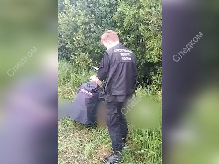 В Коммунаре задержали подозреваемого в убийстве знакомого