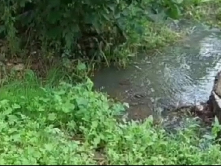 В лобненском парке запахло нечистотами