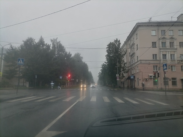 Автоинспекция Петрозаводска объяснила, как не налететь на машину в тумане