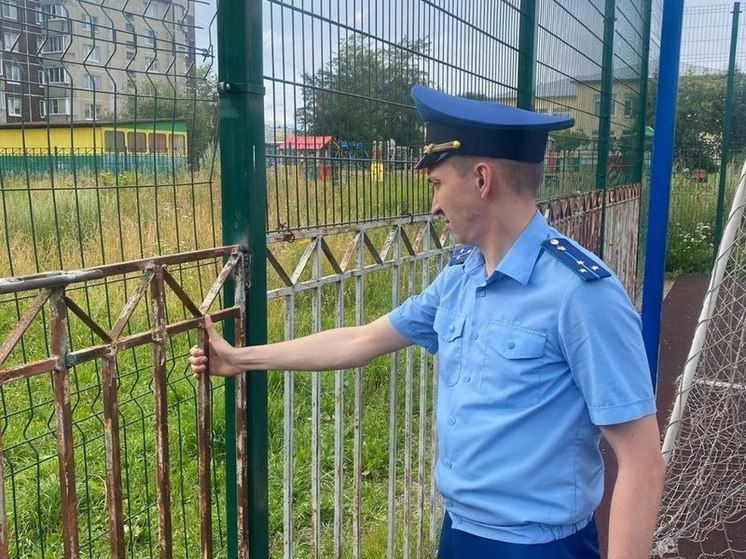 Ребенок пострадал от падения металлической конструкции на детской площадке в Волхове