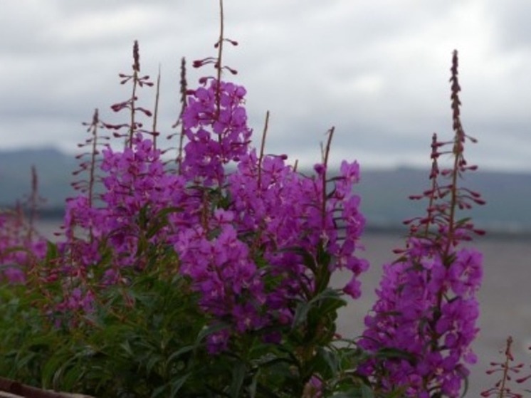 В пятницу на большей части округа пройдут небольшие дожди