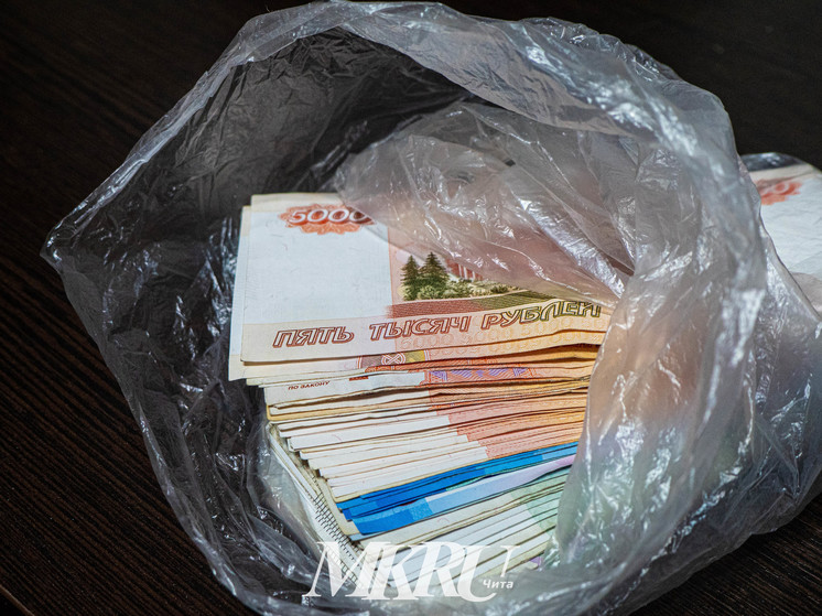ОПГ будут судить в Забайкалье за махинации с маткапиталом на 17 млн рублей